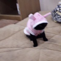 Аватар пользователяТяТяЧкОвСкИй